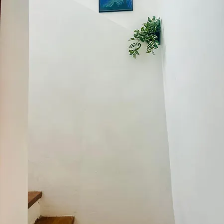 Apartament Bilsic Brothers